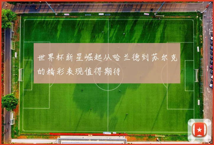 世界杯新星崛起从哈兰德到苏尔克的精彩表现值得期待
