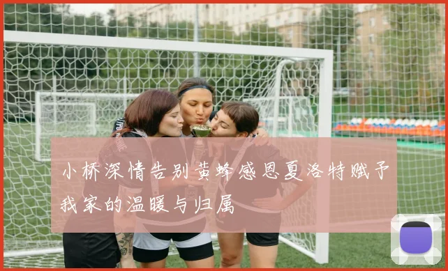 小桥深情告别黄蜂感恩夏洛特赋予我家的温暖与归属